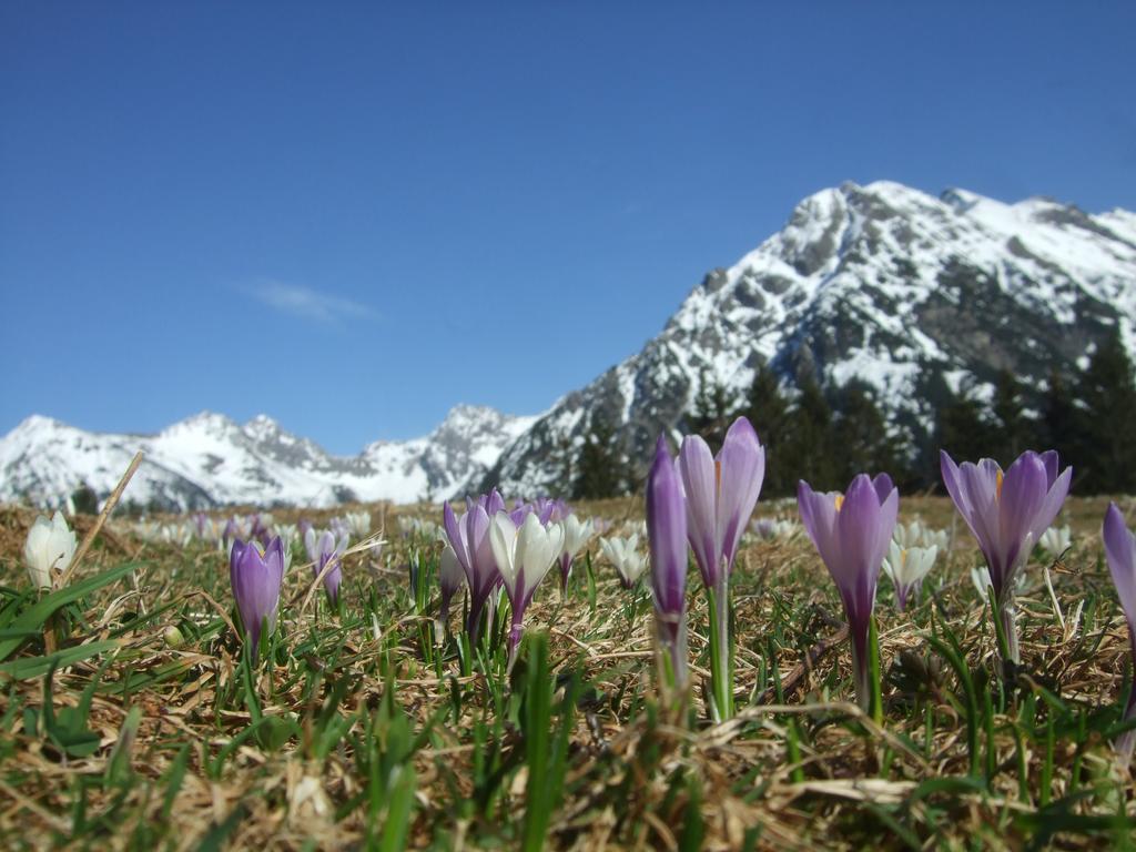 Hotel Alpensonne Рицлерн Екстериор снимка